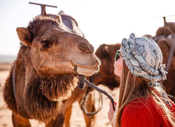 Camel Ride & Bedouin Tea in Sharm Resort sharm el sheikh- holiday in sharm- Sharm Land Tours (11)