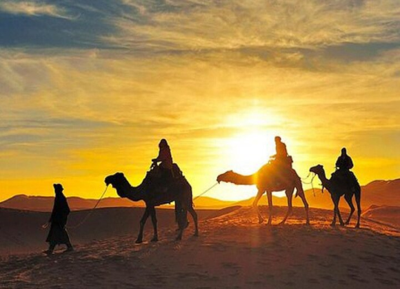 Camel Ride & Bedouin Tea in Sharm Resort sharm el sheikh- holiday in sharm- Sharm Land Tours (12)