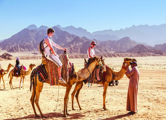 Camel Ride & Bedouin Tea in Sharm Resort sharm el sheikh- holiday in sharm- Sharm Land Tours (13)