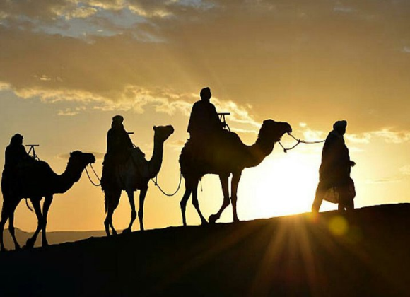 Camel Ride & Bedouin Tea in Sharm Resort sharm el sheikh- holiday in sharm- Sharm Land Tours (15)