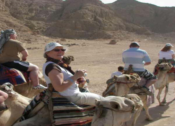 Camel Ride & Bedouin Tea in Sharm Resort sharm el sheikh- holiday in sharm- Sharm Land Tours (16)