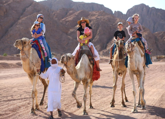 Camel Ride & Bedouin Tea in Sharm Resort sharm el sheikh- holiday in sharm- Sharm Land Tours (18)