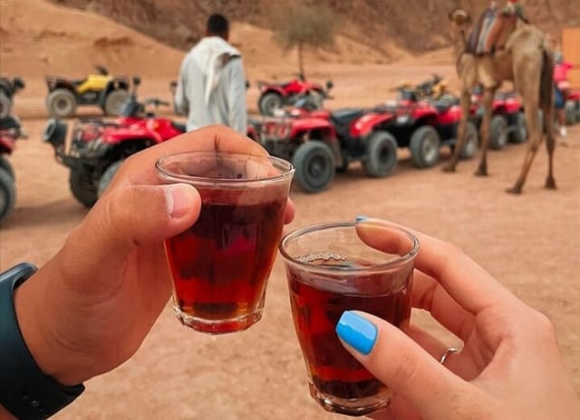 Camel Ride & Bedouin Tea in Sharm Resort sharm el sheikh- holiday in sharm- Sharm Land Tours (6)