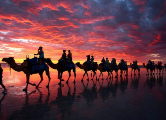 City Tour of Sharm El Sheikh Resort sharm el sheikh- holiday in sharm- Sharm Land Tours (17)